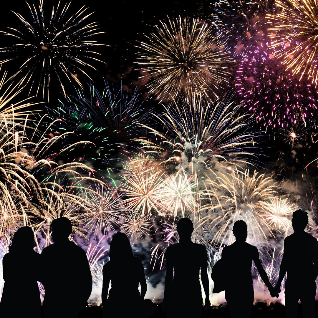 夏の一大イベント! 刈谷わんさか祭り花火大会〈2025年〉