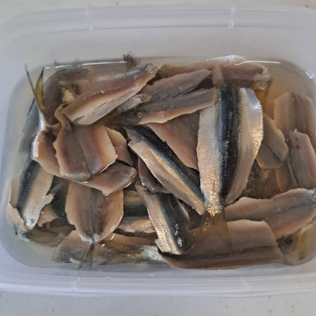 サッパの酢漬け